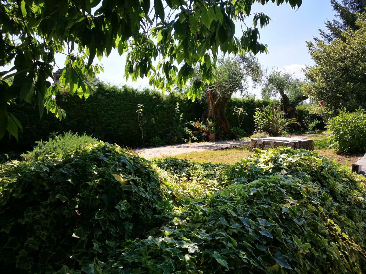 A Casa Da Fonte Villa Alviobeira ภายนอก รูปภาพ